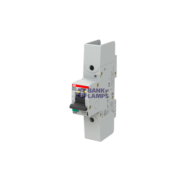 S801P-D125-R circuit breaker image 3