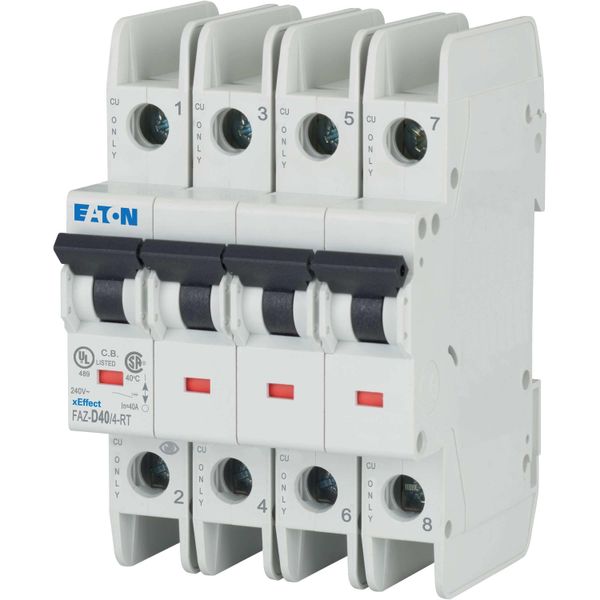 Miniature circuit breaker (MCB), 40 A, 4p, characteristic: D, ring tongue image 9