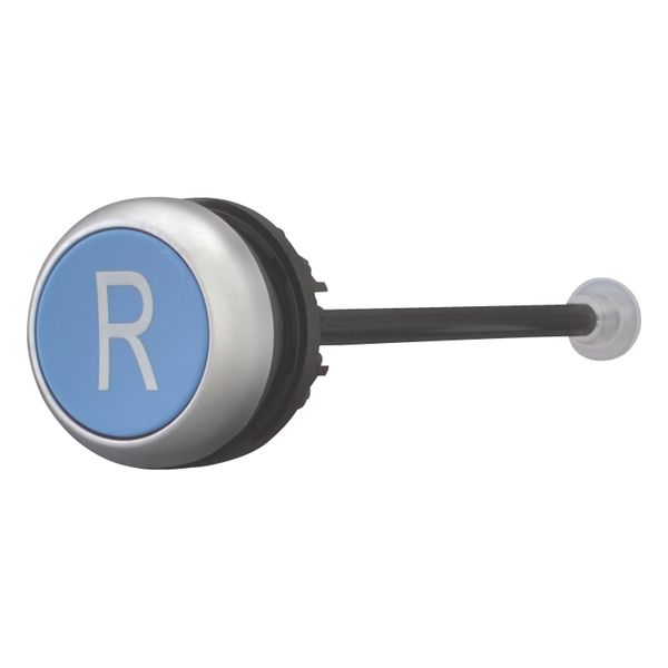 M22-DZ-B-X6 Release pushbutton, blue, R image 4