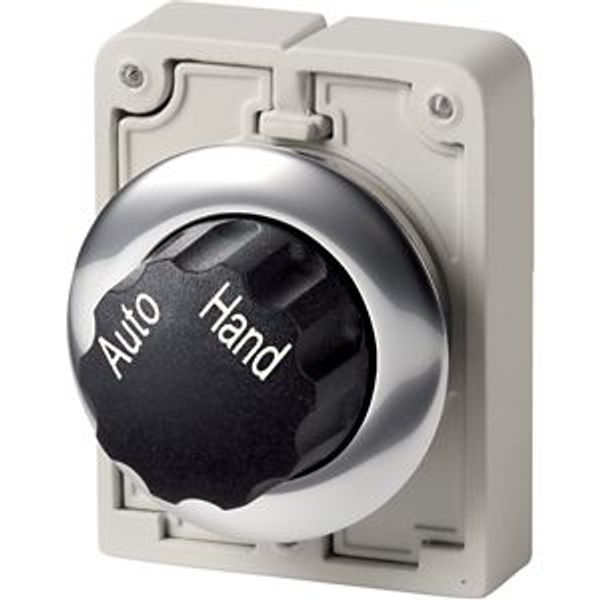 M30C-FWR-X91 Changeover switch, RMQ-Titan, With rotary head, maintained, 2 positions, inscribed, Metal bezel, AUTO HAND image 2
