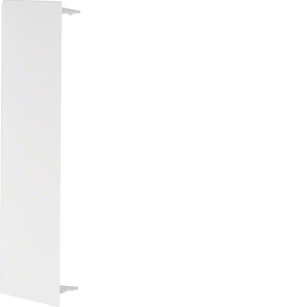 LFS, end plate for gutter 60x200 mm, bright white image 1