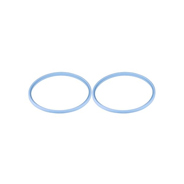 SEAL RING FKM DN125 | Gasket image 1