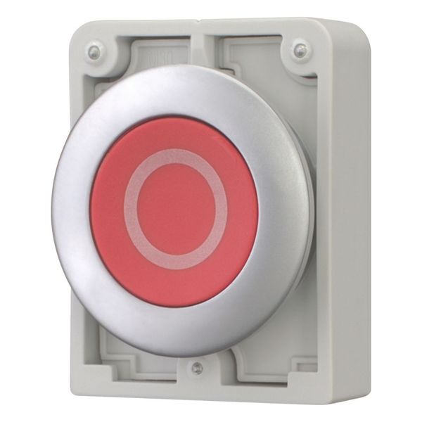 M30C-FD-R-X0 Pushbutton, RMQ-Titan, Flat, momentary, red, inscribed, Metal bezel image 5
