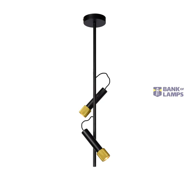 Lucide DUELE - Flush ceiling light - LED - 2x5W 3000K - Black image 1