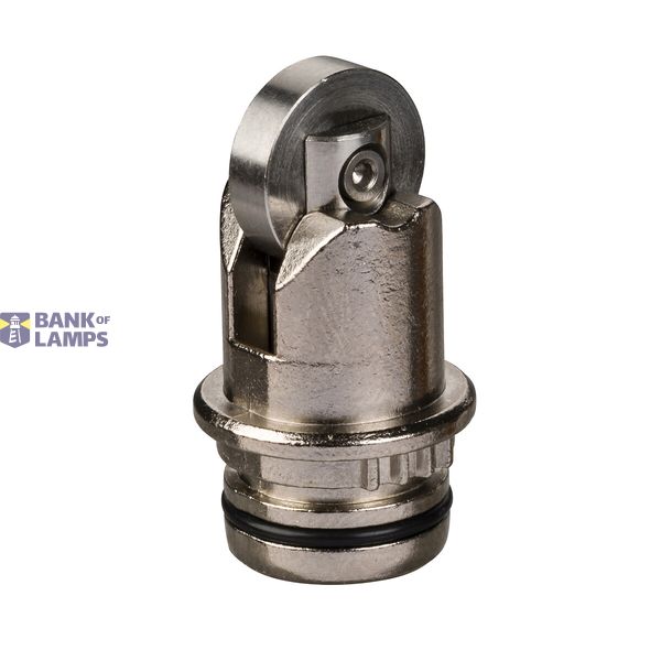 HEAD FOR LIMIT SWITCH STAINLESS STEEL ROLLER PLUNGER FOR SEA (CT à 100 image 45