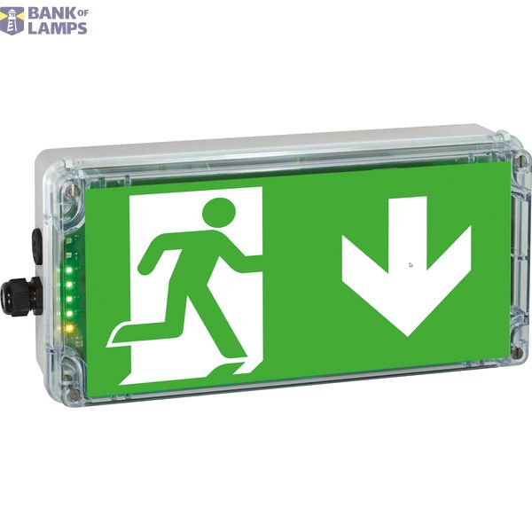 EX-protected emerg.luminaire EXIT 2 N zone2/22 LED 3h230V AC image 1