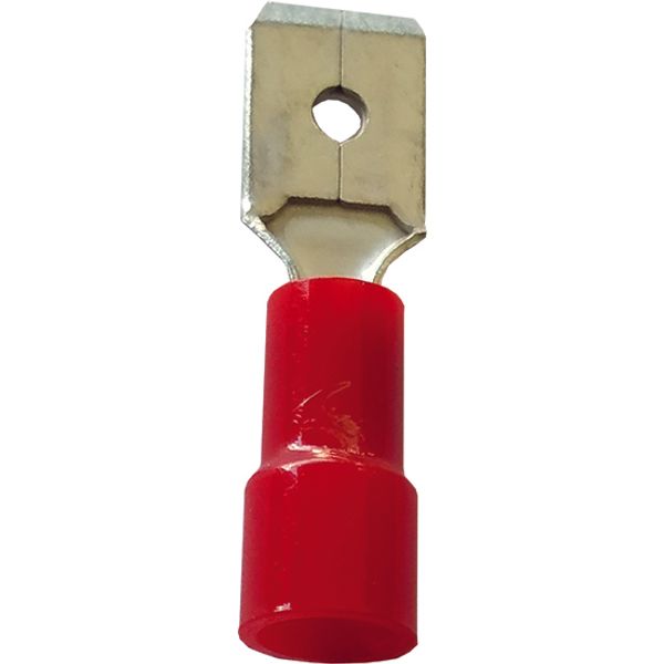 Fichero: Ter ench plan rojo.jpg image 1