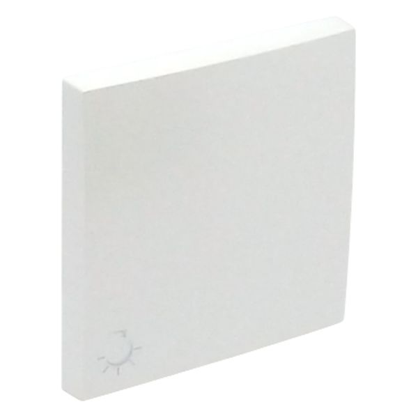 ROCKER F/SWITCHES W/LAMP SYMBOL ICE image 1