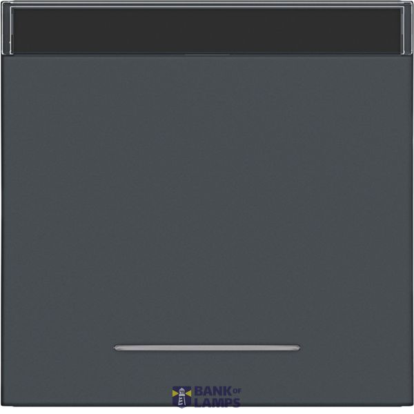 Rocker single, text field, clear lens, A.x/C.x, anthracite image 1