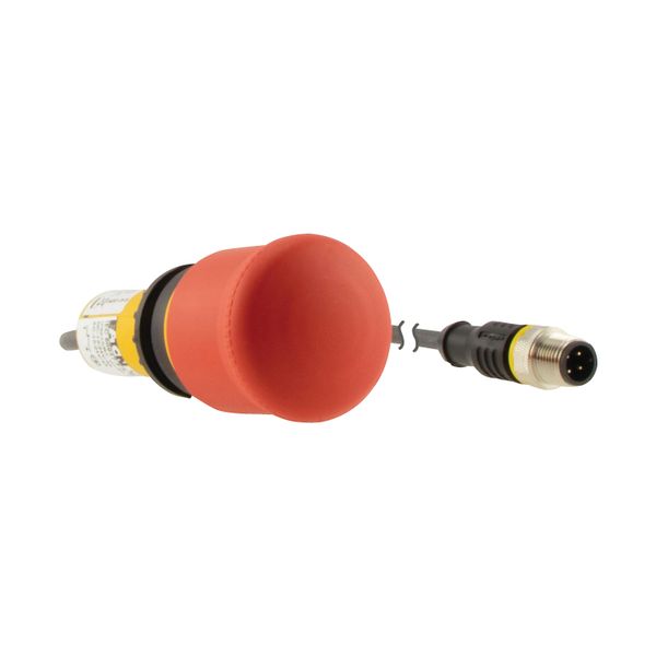 C22-PV-K02-P1 Emergency stop/emergency switching off button, classic, mushroom, 38mm, pull release, 2 N/C, cable (black) with m12a plug, 4p, 0.2m image 6