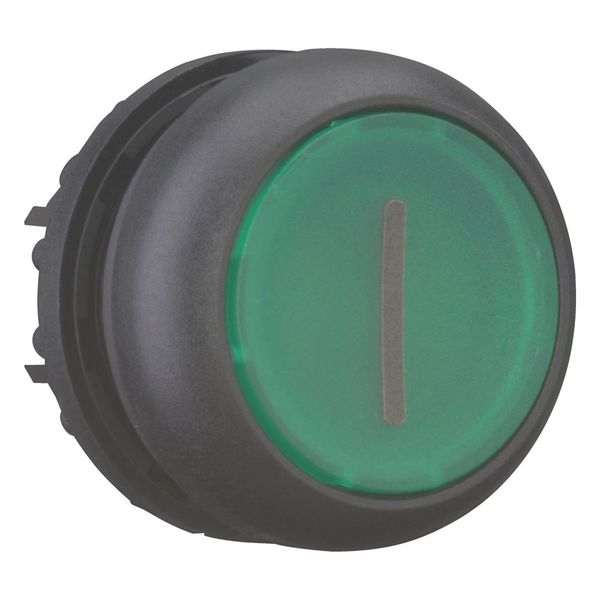 M22S-DL-G-X1 Illuminated pushbutton actuator, RMQ-Titan, Flush, momentary, green, inscribed, Bezel: black image 11