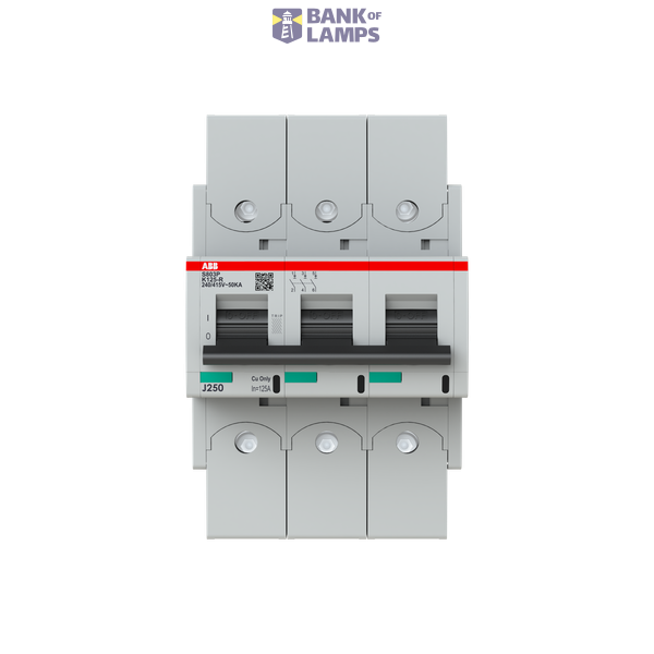 S803P-K125-R circuit breaker image 1