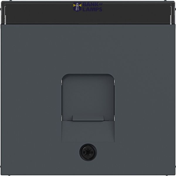 KeyStone 1-v central plate, dust protection, text field, A.x/C.x anthracite. image 1