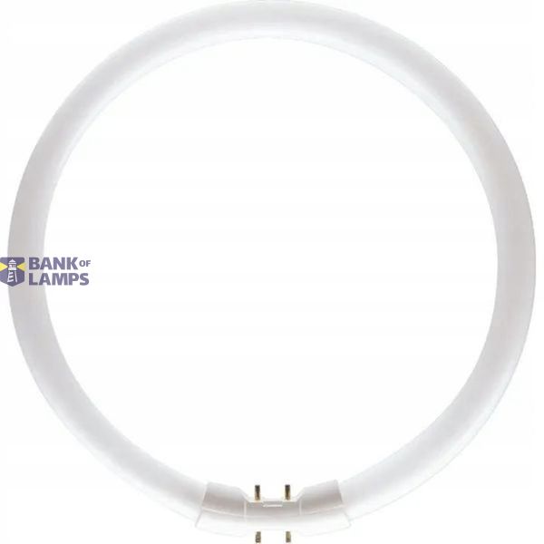 Circular Fluorescent Tube 2Gx13 220-240V 40w 4000k Bellight image 1