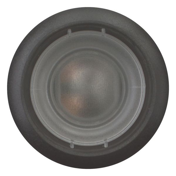 Illuminated pushbutton actuator, Flat, momentary, 1 N/O, Screw connection, LED Blue, Without button plate, 24 V AC/DC, Bezel: black image 3
