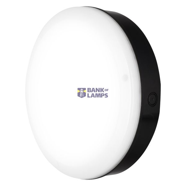 SURFACE BULKHEAD 250 ON/OFF 10W/3000K BK IP65 image 1