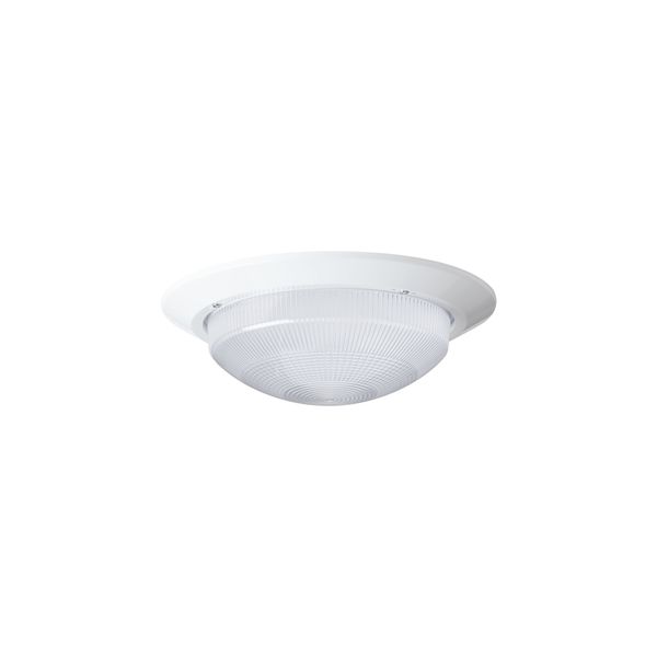 ELEKTRA 6 IN-172/L4 image 1