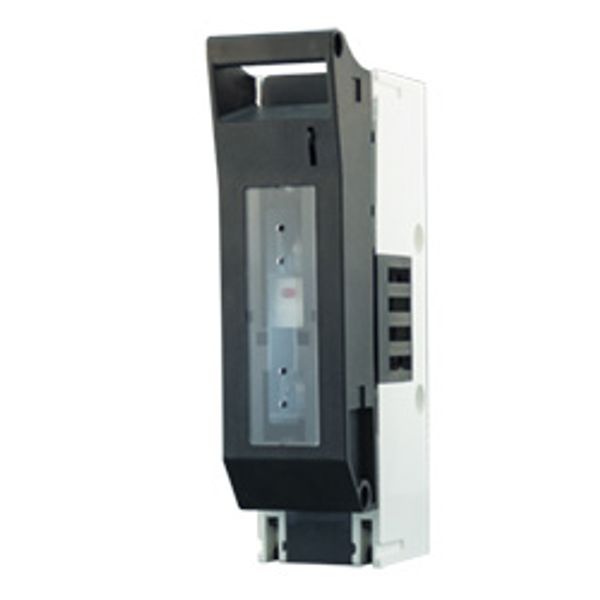 Fichero: base-buc.jpg image 1
