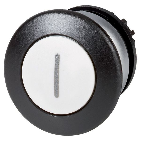 M22-DP-W-X1 Mushroom actuator, RMQ-Titan, Mushroom, momentary, Mushroom black, White, inscribed, Bezel: titanium image 3