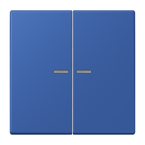 JUNG HOME push-button 2-gang BTLC17102253 image 1