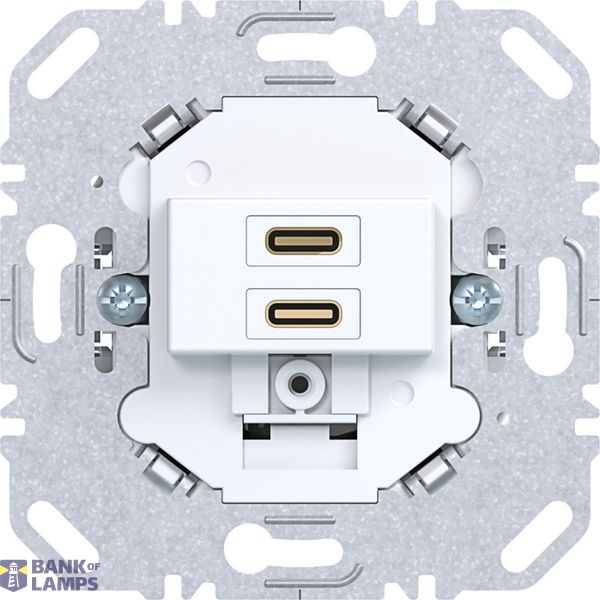 USB charging socket, 2 x USB C (20W), matte light white image 1
