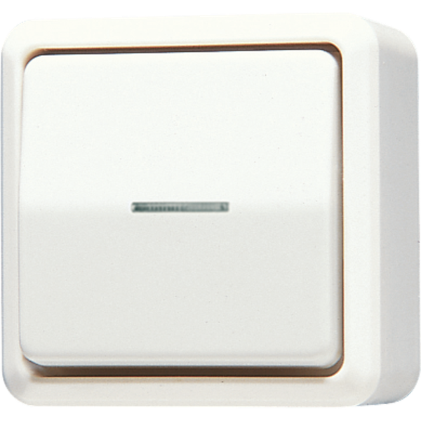1-gang switch 10 AX / 250 V ~ with ind. 606KO5A image 2