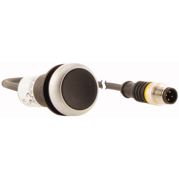 C22-D-S-K01-P5 Pushbutton, Flat, momentary, 1 NC, Cable (black) with M12A plug, 4 pole, 1 m, black, Blank, Bezel: titanium image 4