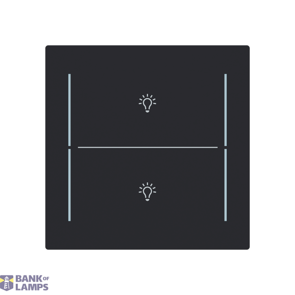 LFBT/A.2.70.1-45M Cover plate with legend with Symbol "light" black matt - Trevion® image 1