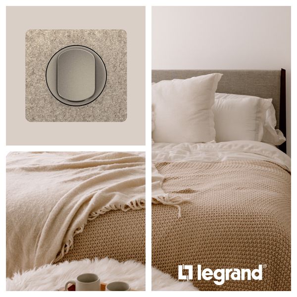 PLATE 1 GANG FELT image 5