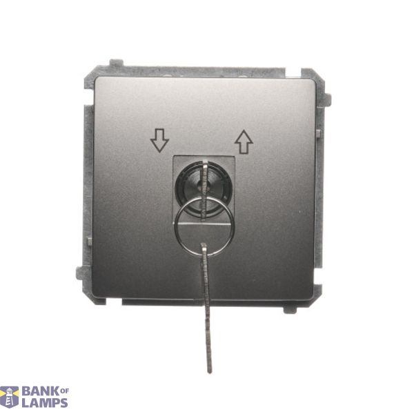 Roller blind momentary switch with key, satin, metallized, 5A image 1