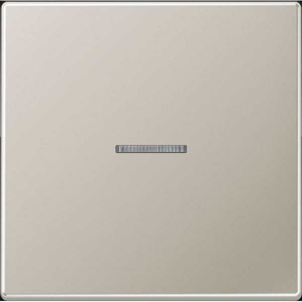 Rocker 1-gang, with lens, steel image 1