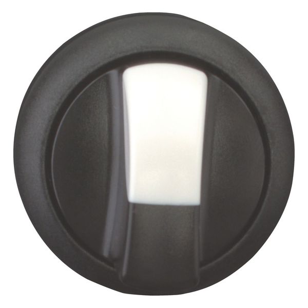 M22S-WRK Changeover switch, RMQ-Titan, With thumb-grip, maintained, 2 positions, Bezel: black image 3