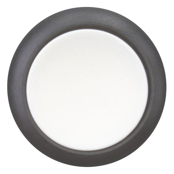 M22S-DR-W Pushbutton, RMQ-Titan, Flat, maintained, White, Blank, Bezel: black image 3