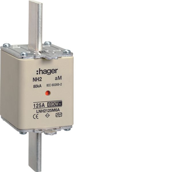 NH fuse NH2 690V aM 125A twin indicator live gripping-lug image 1