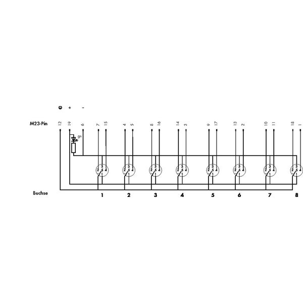 M12 sensor/actuator box 8-way 5-pole image 3