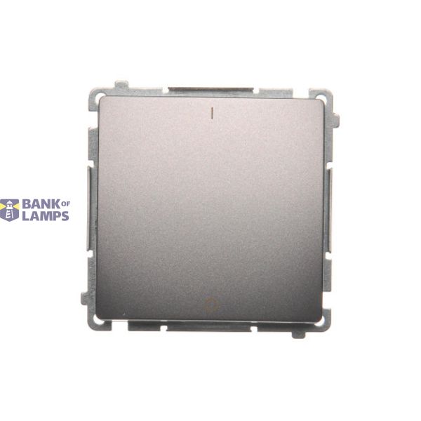 Two-pole switch, (module), 16AX, Screw, Inox, metallized image 1