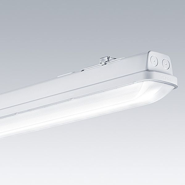 AQFPRO L LED4300-840 PC WB HFI - LED waterproof luminaire image 2
