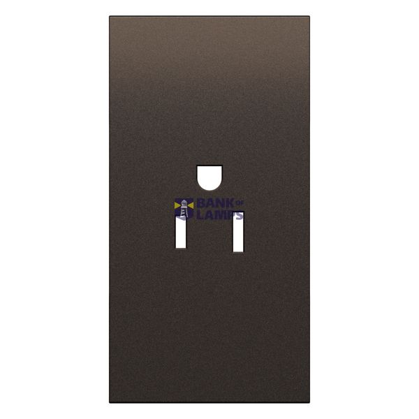 L.NOW - SOCKET COVER US 2P+T 2M BRONZE image 1