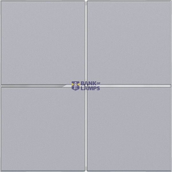Push button cover, double, A.x/C.x, titanium image 1