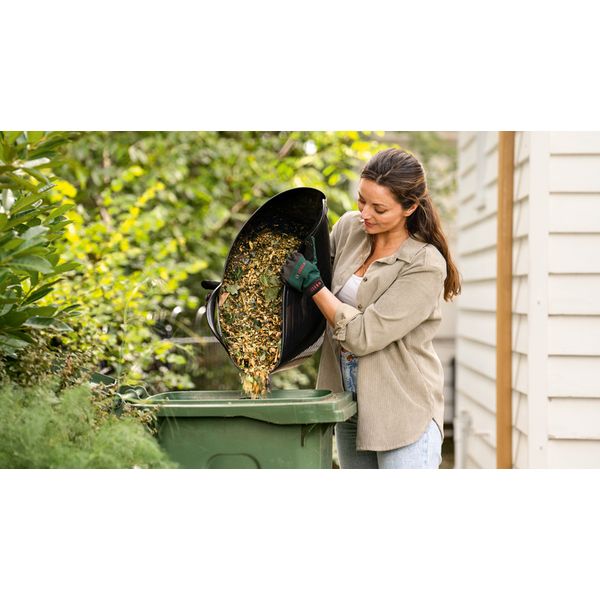 AXT RAPID 2000 image 3