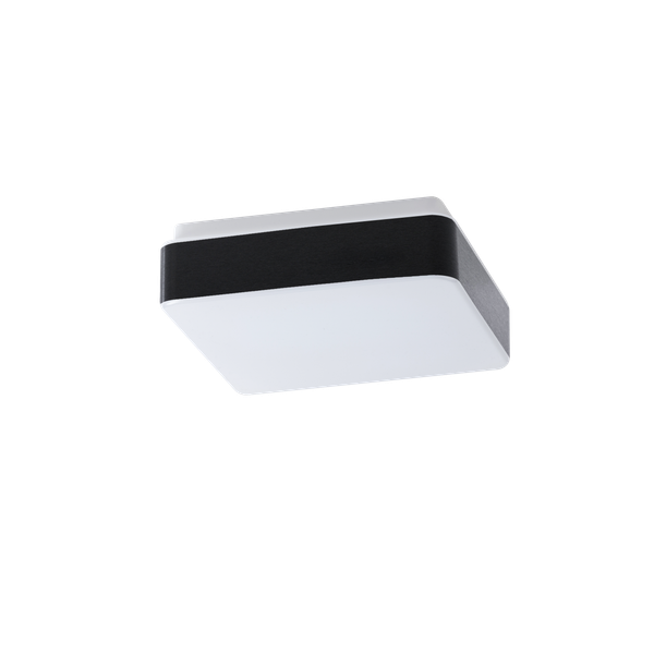 TILIA C1A IN-12NU1/PC31C image 1