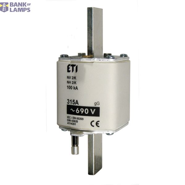 NH2/K gG 224A/690V image 2
