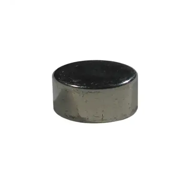 DM20-10 NDFEB Magnet image 1