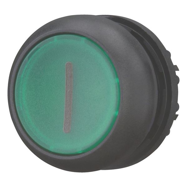 M22S-DL-G-X1 Illuminated pushbutton actuator, RMQ-Titan, Flush, momentary, green, inscribed, Bezel: black image 5