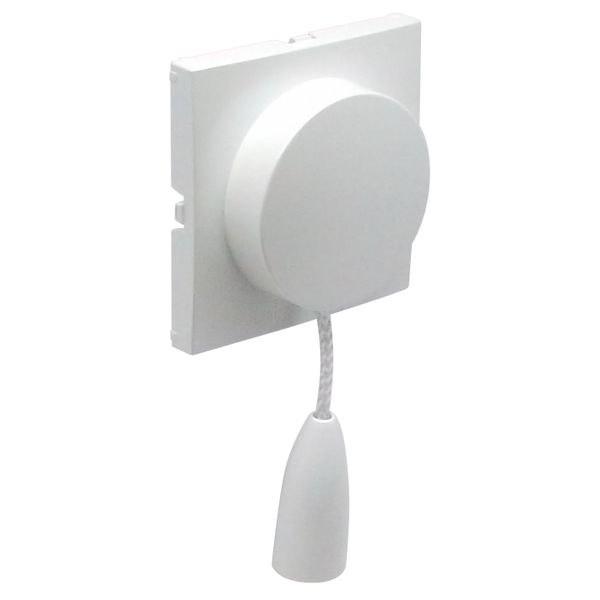 C.P. F/PULL-CORD PUSH-BUT/TWO-WAY SWITCH ICE image 1