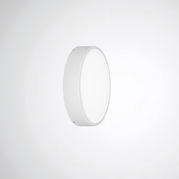 Mechanical accessories Olisq R 8225800 image 1