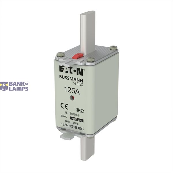 Fuse-link, LV, 125 A, 800 V AC, NH1, Class gG/gL image 4