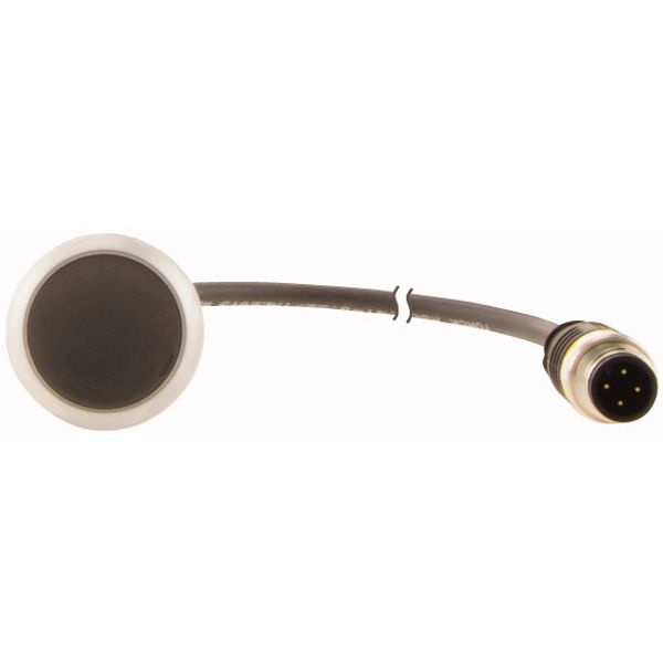 C22-D-S-K01-P5 Pushbutton, Flat, momentary, 1 NC, Cable (black) with M12A plug, 4 pole, 1 m, black, Blank, Bezel: titanium image 2