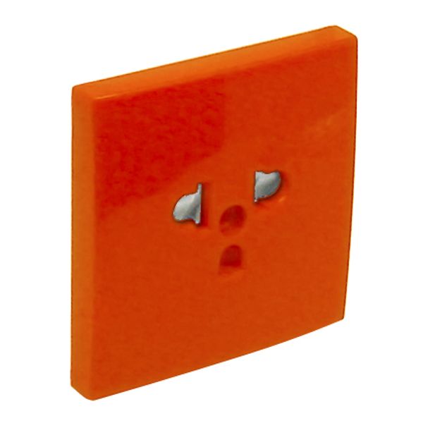 SAF C.PLATE F/EARTH SOCKET (EURO-USA) ORANGE image 1