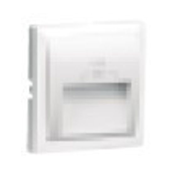 C PLATE DOUB USB CHARG TYPE A 20° OUTPUT GD image 1